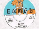 HIPPY BOYS(LLOYD CHARMERS)-CAT NIP-COOYAH-CAMEL UK-1969