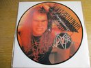 SLAYER - FINAL COMMAND 　Picture Disc  vintage limited to 100 copies    METALLICA