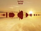 Kate Bush Aerial 2LP 180g Vinyl Gatefold 2023 Remastered Reissue NEW SEALED