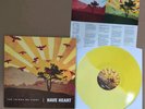 Have Heart - The Things We Carry Vinyl LP Bridge Nine Records