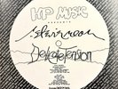 R. STEVIE MOORE Delicate Tension - HP Music HPS 3075 1st Pressing 1979 DIY Punk