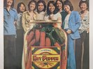 Thai LP The Impossibles Hot Pepper LP soul funk covers Kool & The Gang