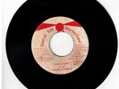 #142 RARE DIGI REGGAE 45 CENTRAL SUN LABEL PRINCE CHARMING 
