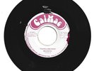 MELODITES / TRAVELLING HOME / DUB / 7''