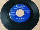 The Demens 1957 DOO WOP 45 Take Me As I Am / You Broke My Heart TEENAGE VG HEAR