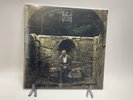 Dermot Kennedy - The Weight Of The Woods (Woodland Vinyl) - Bad World - IN HAND