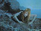 Roxy Music - Siren (Half Speed Master) [LTD LP]