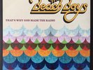 The Beach Boys - That's Why God Made The Radio (LP) (Near Mint (NM or M-)) - 407