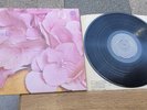 STILL LIFE s/t 1971 UK VERTIGO SWIRL 1st Press LITTLE PLAYED EX++ VINYL SUPERB