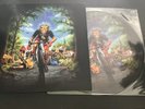 IRON MAIDEN HELLFEST PICTURE DISC. AUSSIE FAN CLUB LIMITED EDITION MINT