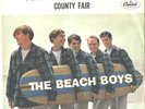 THE BEACH BOYS-PICTURE SLEEVE  45--(TEN LITTLE INDIANS)--PS--PIC-SLV