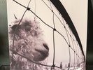 Pearl Jam - Vs - Vinyl Record - 180 Gram