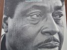 Johnny Shines LP, Too Wet to Plow, Blue Labor BL 110 stereo, M-