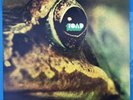 TOAD S/T 1971 1st Pressing Vinyl LP Hallelujah Swiss Prog Psych HOLY GRAIL NM