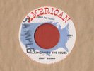 Rare 1958 JERRY BALLAD 45 Walking with the Blues AMERICAN Country Bopper - PROMO