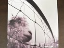 Pearl Jam - Vs. (30th Anniversary Edition) [ Vinyl LP] 45 Rpm, 180 Gram