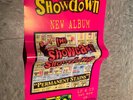 The Showcase Showdown 'Permanent Stains' rare POSTER Punk Ska Hardcore Record LP