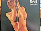 Iggy and the Stooges 