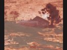 The Shits Diet of Worms (Vinyl) 12