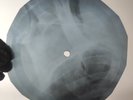 BEATLES ELEANOR RIGBY X-Ray USSR Record Roentgen Bone Ribs Music Vinyl