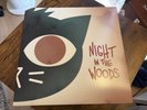 Night In The Woods Vinyl Soundtrack (Ghost Ramp)