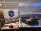 GRAIL Rodriguez Cold Fact 1970 US First Press Sussex SXBS 7000 SONIC STERLING NM