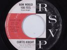 Garage Psych Soul 45 CURTIS KNIGHT How Would You Feel RSVP HEAR q
