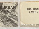 SUBURBAN LAWNS Punk New Wave: Janitor & Gidget Goes To Hell '79 & '80