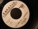 THE ROTATIONS D-9 PUT A NICKEL ON 45 RECORD PROMO