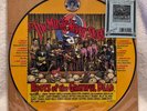 Music Never Stopped Roots of the Grateful Dead Picture Disc R Crumb No 2185 VG+