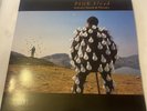 Pink Floyd Delicate Sound of Thunder Double