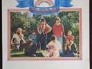 The Beach Boys - Sunflower Vinyl LP 1970 Original Pressing RS 6382 | NM