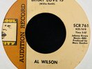 Rare Northern Soul 45 - Al Wilson - Now I Know What Love Is - Soul City - Promo