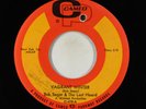 Garage 45 - Bob Seger & The Last Heard - Vagrant Winter - Cameo VG+