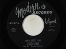 Blues R&B Rocker 45 - Elmore James - Wild About You - Modern