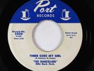 Doo-Wop Rocker 45 - Chancellors - There Goes My Girl - Port VG+