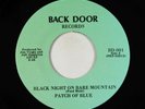 Psych 45 - Patch Of Blue - Black Night On Bare Mountain - Back Door VG++ obscure