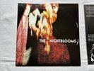 The Nightblooms”The Nightblooms”1992 Indie Rock Vinyl Lp First Pressing