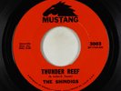 Surf Inst. 45 - Shindigs - Thunder Reef - Mustang - rare Bobby Fuller