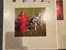 Rush – Signals 12