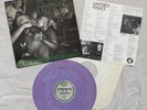 1986 Uniform Choice Screaming For Change Wishingwell Vinyl Record PUNK PURPLE