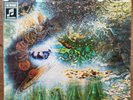 Pink Floyd a Saucerful of Secrets Vinyl LP Germany