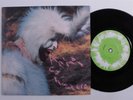 Experimental Rock 45 ANIMAL COLLECTIVE Who Could Win A Rabbit FATCAT uk r