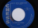 Blues 45 MUDDY WATERS She's Into Something CHESS r