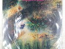 PINK FLOYD A SAUCERFUL OF SECRETS ODEON OP80282 1LP