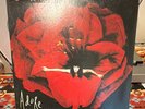 The Smashing Pumpkins Adore 12