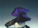 SWEETLAND, Fergus/D LERIA/GIGI FM/EFDEMIN/FIREGROUND - Curation Six: Gigi FM
