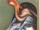 Camel - Camel GER LP 1980 (VG+) MCA Records 201 350 ''*