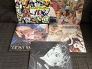 Madonna USA 12” Singles x5 - Everybody, Burning Up, Angel, Papa + Material Girl