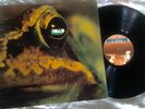 OUTRAGEOUS 1971 BLUES PSYCH MONSTER   TOAD   #1 LP CREAM SABBATH PURPLE HEAVY A+